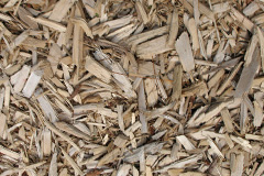 biomass boilers Begdale