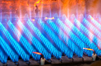 Begdale gas fired boilers